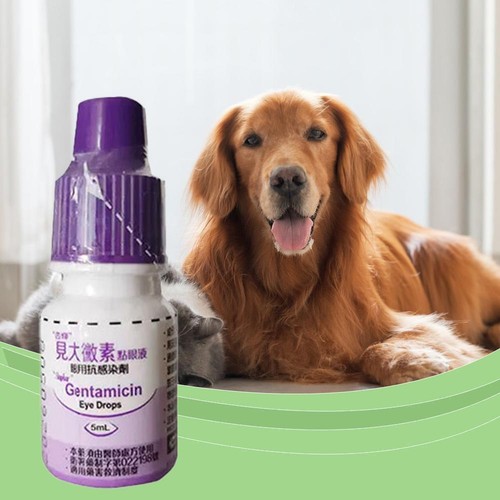 Gentamicin Eye Care Drops For Pets Tear Stains Cleaning Drops GX X4B8 P2E7  B6Z6 - Bild 9 von 9