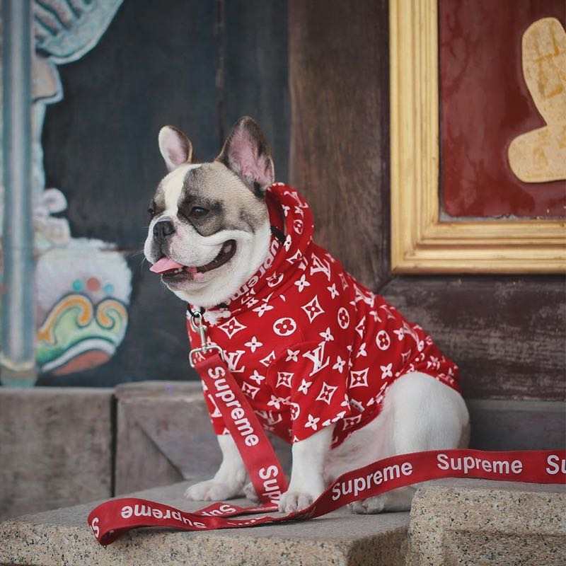 LV X Supreme Style Box Logo Dog Hoodie  French bulldog hoodie, French  bulldog, Dog hoodie