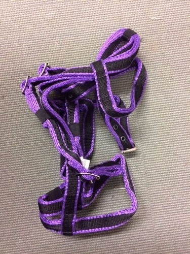 Brida Estándar Libby's Pony Pequeño Pony Mazorca Completa X Completa - ¡STOCK ANTIGUO REDUCIDO!¡! - Imagen 6 de 11