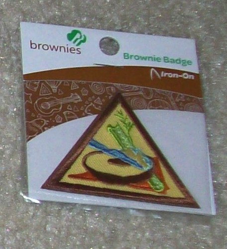 Brownie Girl Scout Badge Try-it Fair Play, Pets Money Computer Expert Snacks etc - Picture 10 of 19