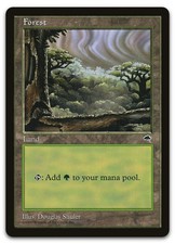 Forest (Cloudy) #349 (NM) Tempest TMP Magic MTG