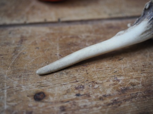 Antique Antler Awl Tool Primitive - Picture 8 of 8