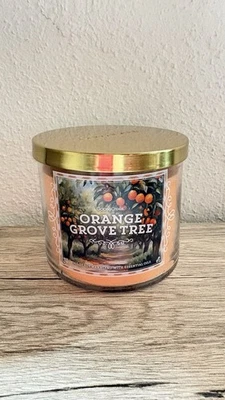 Goose Creek Duftkerze Orange - Bild 1 von 2