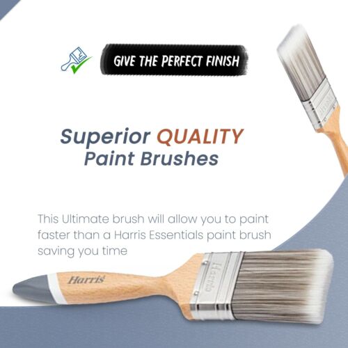 Harris Paint Brushes Professional Decorating Pure Bristle DIY Painting 1,1.5,2 - Picture 2 of 10