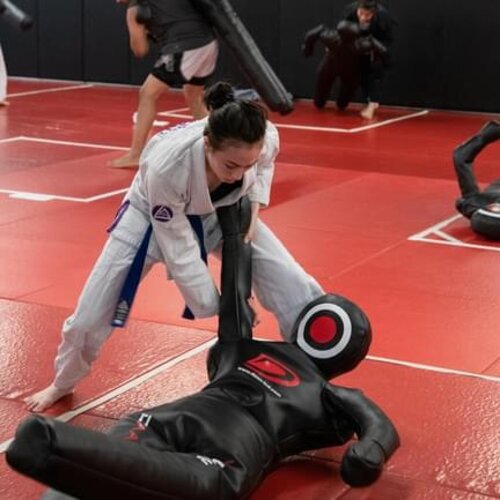 Brazilian Jiu Jitsu Grappling MMA Dummy Fighting Punching Training Judo BJJ EMP - Picture 31 of 55