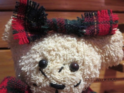 VINTAGE TEDDY BEAR WITH SKIS--#R12-4 - Picture 9 of 24