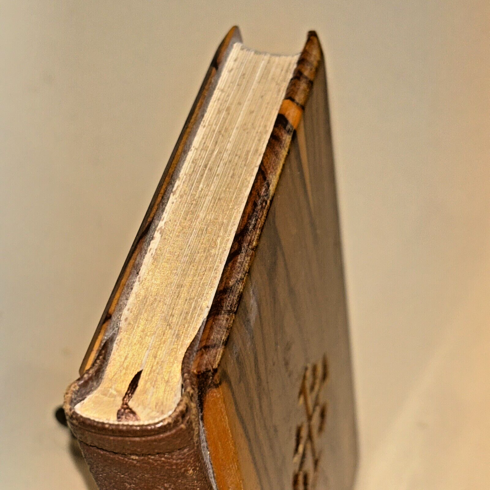 Picture 5 of 16