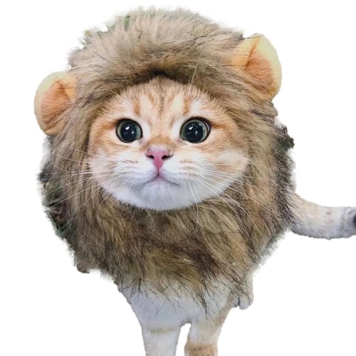 Pets hat Cat Wig Lion Mane Costume Cosplay Kitten Dog Hat With Ears Fancy Party - Picture 10 of 12