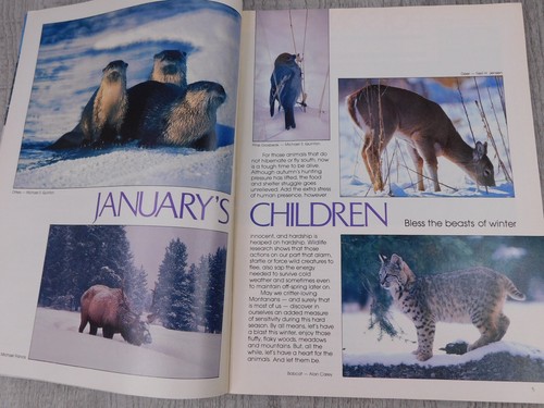 Montana Magazine Jan Feb 1986 Polson Wolf mountain goat bighorn￼ Bear Fish - Bild 5 von 7