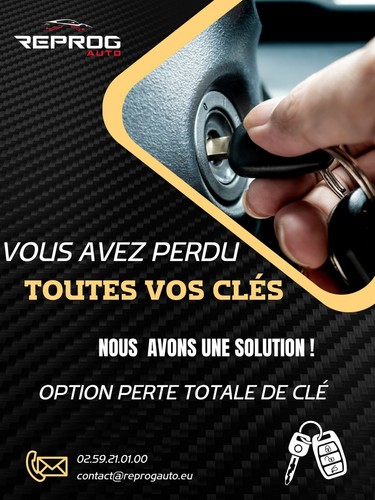 UCH N3 VIERGE RENAULT CLIO 2 P8200234046 V4.8 SAGEM UCH-N3 21670295-9B - Picture 6 of 6