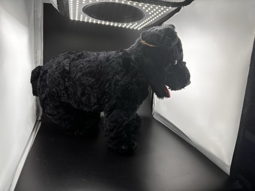 Cinders Ty Classics Perro Negro Altura 10" Largo 16” 1994 Grande Retirado Labrador - Imagen 3 de 21