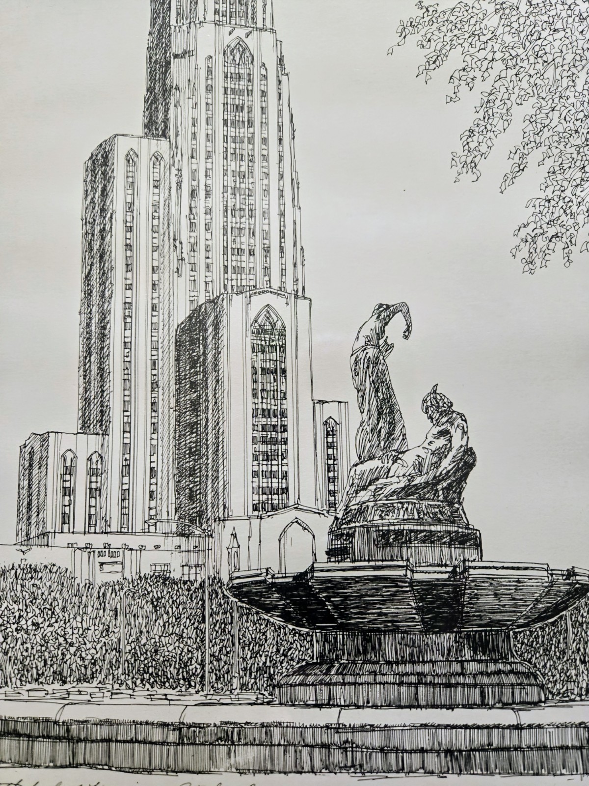 Picture 7 of 16