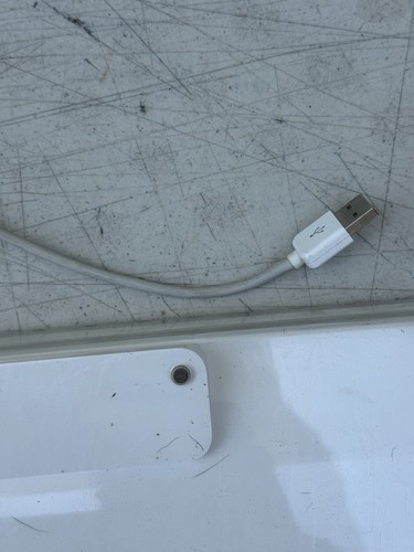 Apple 1048 Keyboard Usb Apple Computer USED - 第 9/9 張圖片