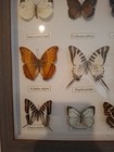 Picture 3 of 11