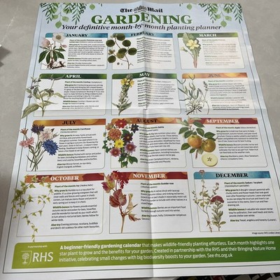 Post am Sonntag doppelseitiges Poster Gartenarbeit nach Saison 53 cm x 42 cm 25. Mai 2026
