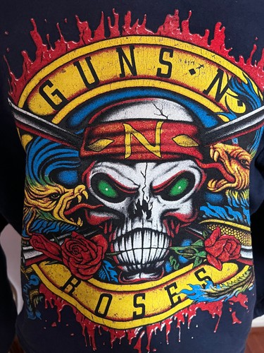 Sudadera Guns N’ Roses Peso Pesado Hecha en EE. UU. - Gráfico Calavera De Colección - S - Imagen 10 de 10