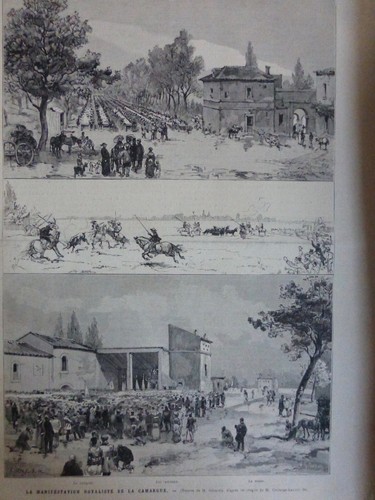 1862 1913 TAUROMACHIE TAUREAUX PICADOR MATADOR 23 JOURNAUX - Imagen 14 de 24