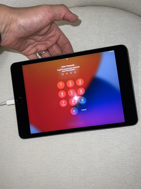 Apple iPad Mini (5th Generation) 256GB, Wi-Fi, 7.9in - Space Gray ...