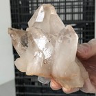 Foto 12 di 15