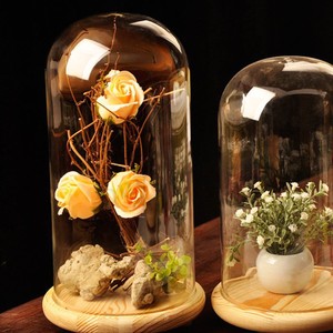 Large-Glass-Display-13-034-x-6-034-Cloche-Bell-Jar-Dome-with-Wooden-Base-DIY-Deor