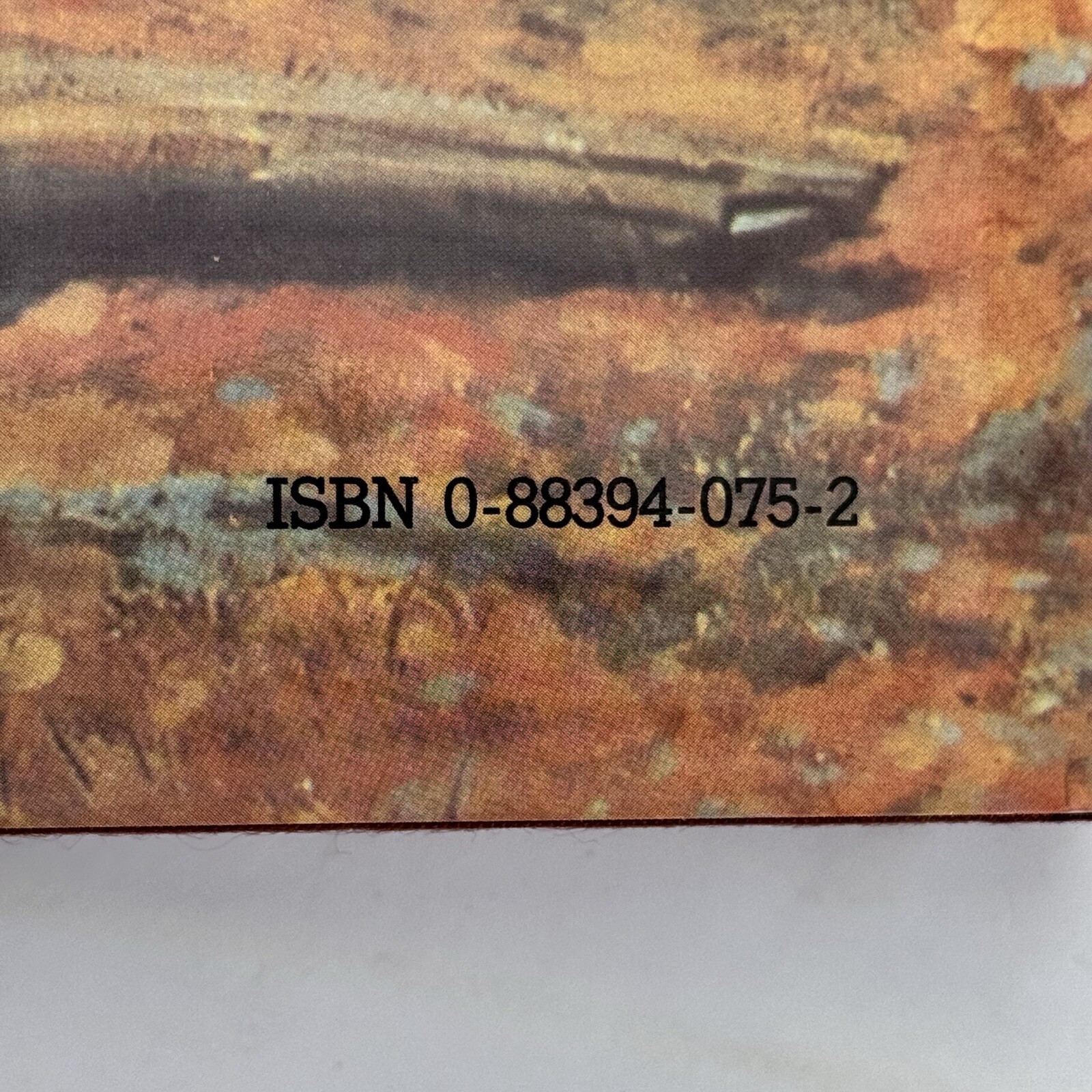 Picture 8 of 24