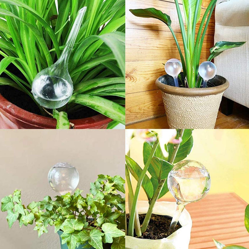 6 PCS Plant Self-Watering Bulbs,Clear Garden Watering Globes,Automatic Water Dev - Picture 7 of 7