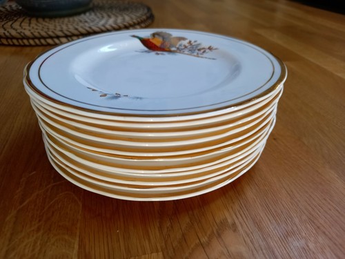 SHERIDAN PHEASANT BONE CHINA & HARLEIGH (STESSO DESIGN) DISPONIBILE SINGOLARMENTE - Foto 79 di 99