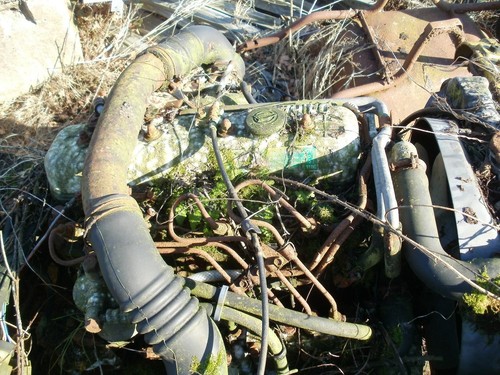 Daihatsu f50 4x4 fourtak predecessor hedge find - Picture 2 of 4