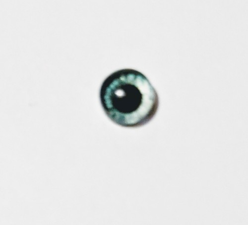 6mm glass cabachon eyes great for taxidermy, needle felting, toy making - 第 3/23 張圖片