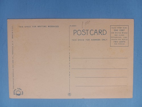 View On Tomoka River Florida Antique Postcard Unused EXC - Picture 2 of 2