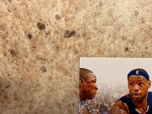 2009-10 Panini Prestige LeBron James #16 Mint - Bild 6 von 10