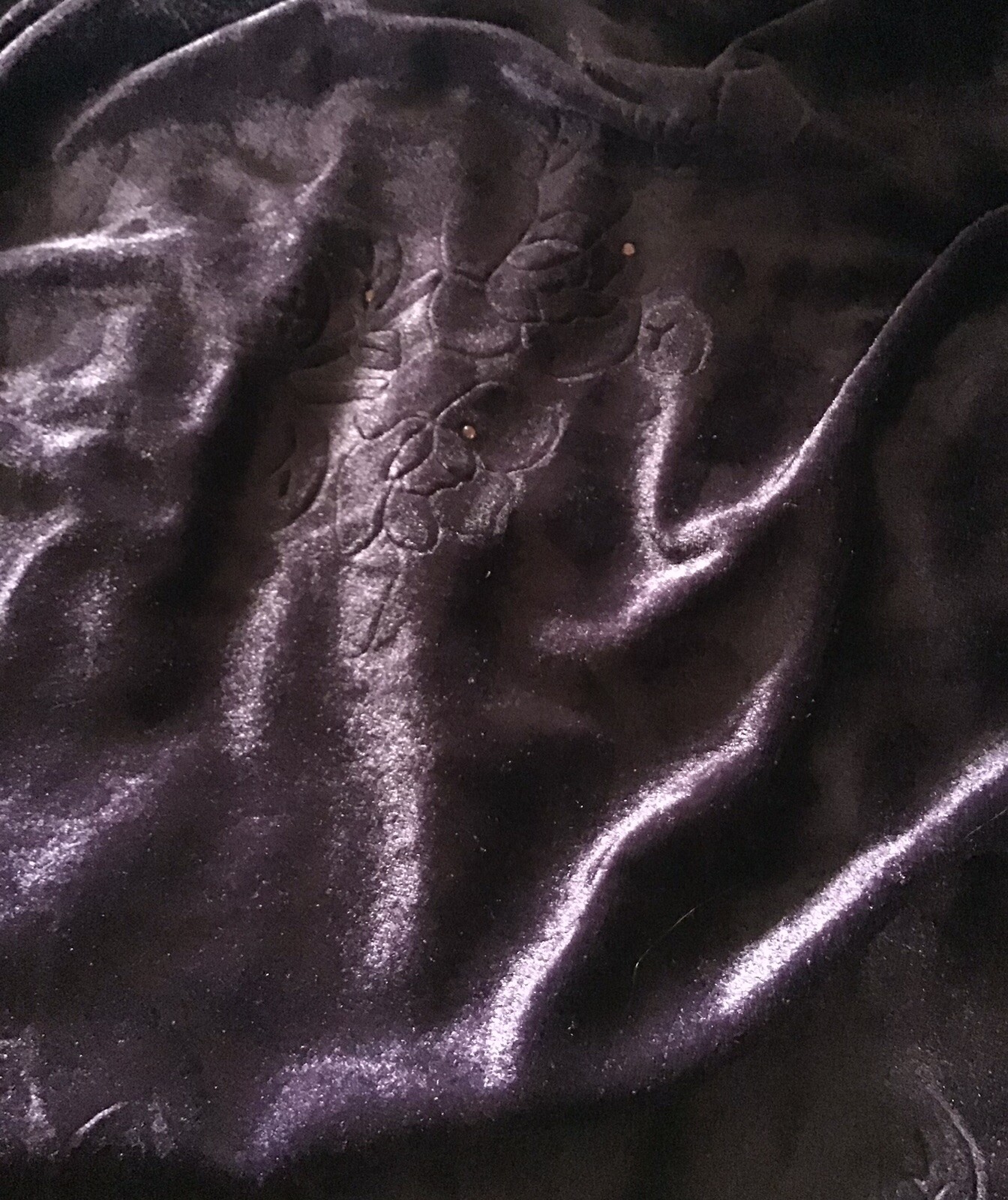 Picture 5 of 6
