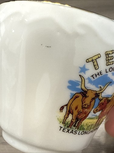 VTG Texas Souvenir Porcelain Tea Cup W/ Texas Longhorns & The Lone Star State - Picture 6 of 7