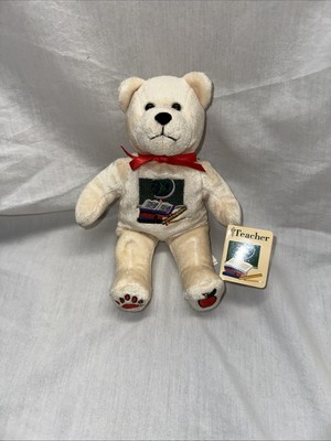 Vintage Y2k 2004 Beary Thoughtful Teacher 9  Teddy Bear Plush NWT