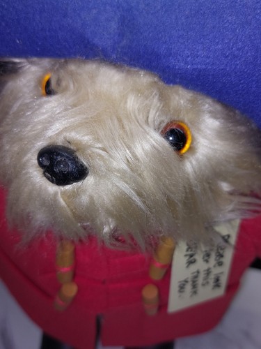 Rainbow Designs Classic Paddington Blue Hat Red Coat Black Boots Collectible HTF - Picture 2 of 12