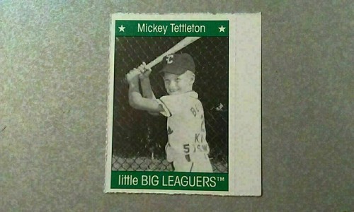 Little Big Leaguers Football Basketball Baseball S1 S2 With White Strip YOU PICK - Picture 42 of 177