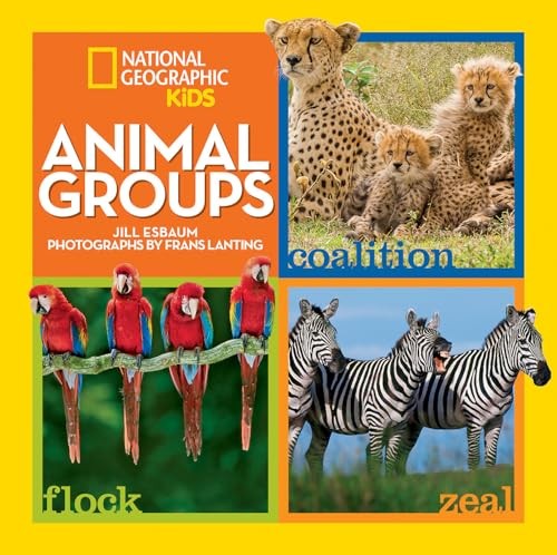 Animal Groups (Animals), National Geographic Kids - Picture 1 of 2