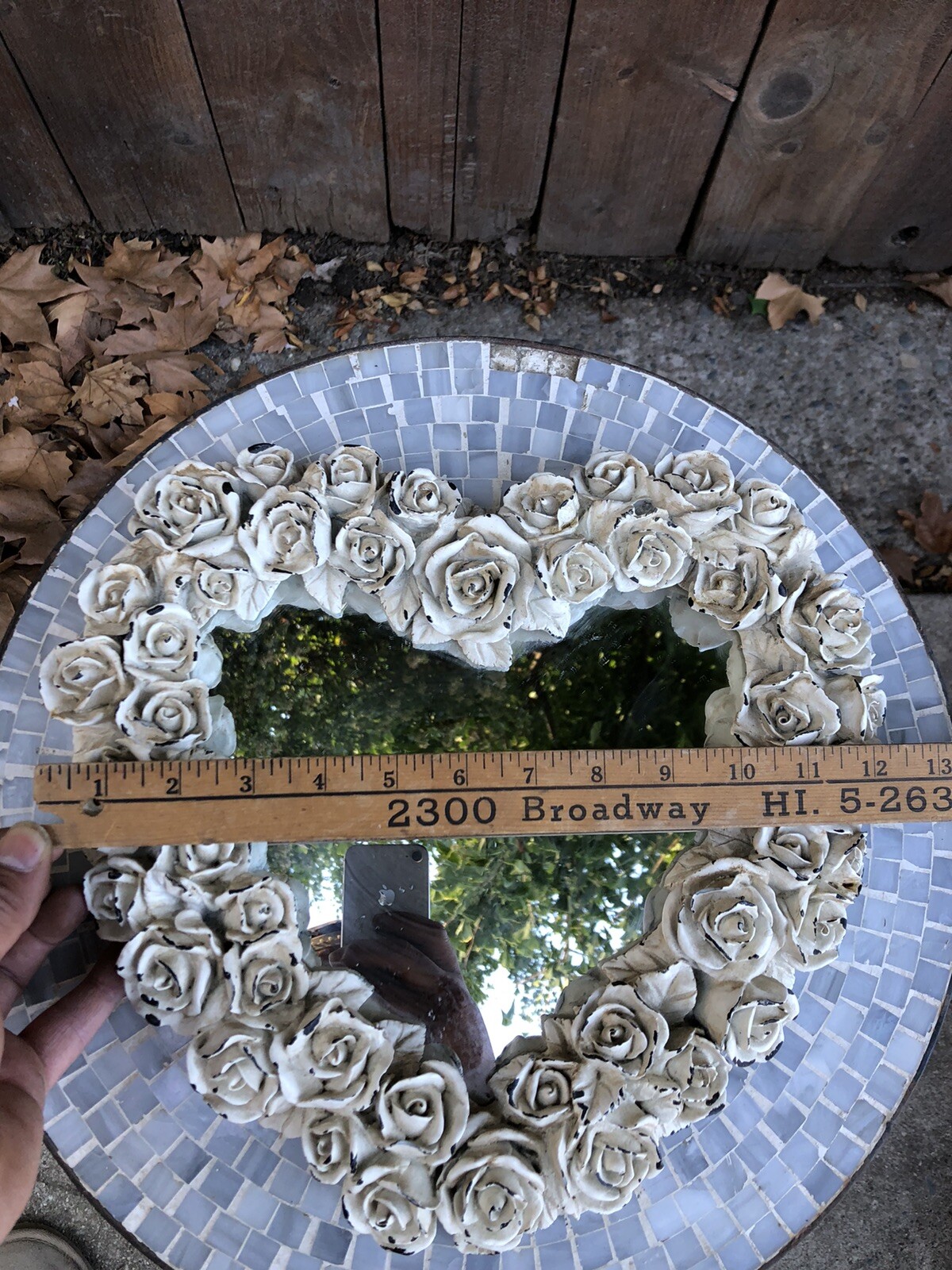 Picture 11 of 12
