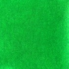 Bild 35 von 55
