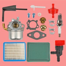 215369 798654 Carburetor for Briggs Stratton 214706 696065 696065 697422 215434