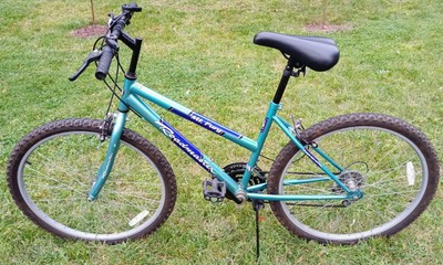 roadmaster mt fury womens