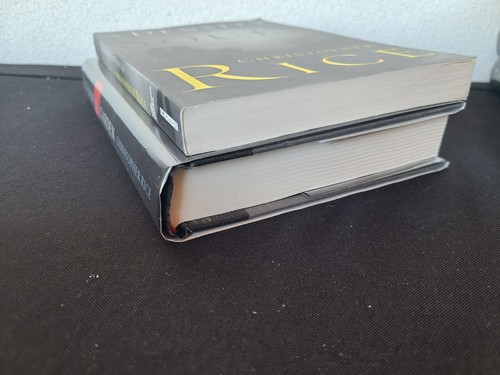 SIGNIERT x2 Bk A Density Souls Snow Christopher Rice, Hardcover Erstausgabe NEU - Bild 5 von 10