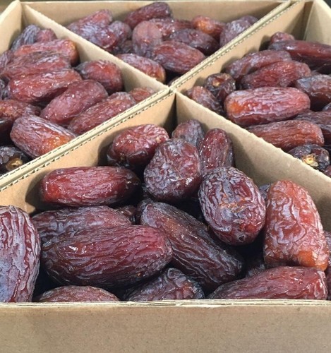 1A Exklusive Medjool Datteln Super Large 5kg XXL– Frisch Süß Premium aus Israel - Bild 10 von 15