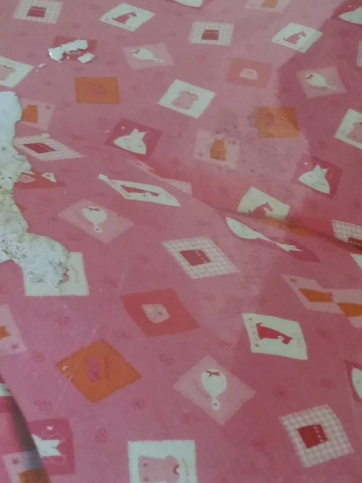 Juego de sábanas y 2 fundas de almohada rosa Laura Ashley tamaño completo Laura Ashley Foto 3 de 4