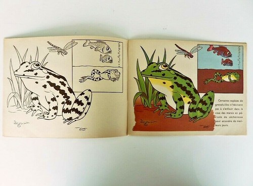 ROUDOUDOU Les belles images album de coloriage 1957 TBE - Picture 3 of 4