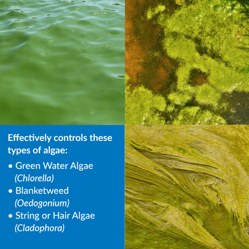 API Pond Care Algaefix 2.5 gal. Pond Algae Control 169J - Picture 2 of 6