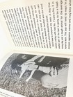 Foto 8 di 13