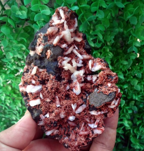 Stilbite On Chalcedony Matrix Minerals - Picture 7 of 8
