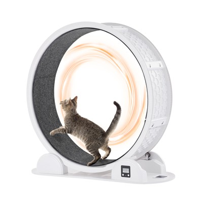 #ad Cat Exercise Wheel with Pedometer 40.8quot; Cat Treadmill for Pet Health White $112.99
