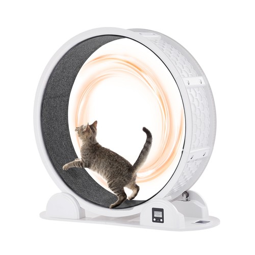 Cat Exercise Wheel with Pedometer 40.8" Cat Treadmill for Pet Health White - Picture 1 of 12